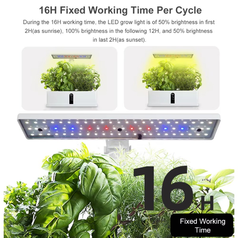 9-Pods Smart Hydroponisches An – Smart Garden Kit Bewertung und Preis