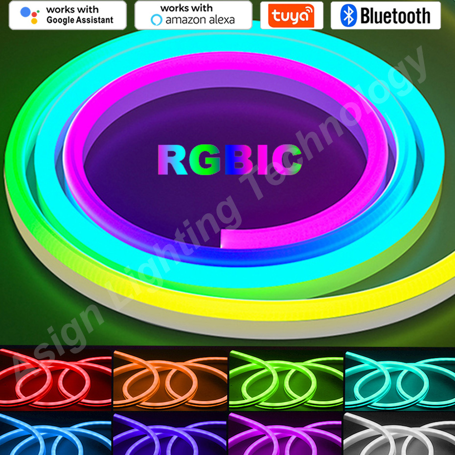 RGBIC LED Neon Streifen 12V 96 – App Smart Garden Bewertung und Preis